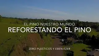 Reforestando y Limpiando El Pino, Dajabon.