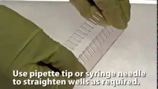 Cosmo Bio Precast Gels MULTIGEL&reg; II Mini
