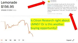 Is Citron Research right about LMND or is this another buying opportunity?