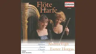Pavane pour une infante defunte (arr. for flute and harp)