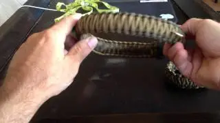Paracord dog collar and matching paracord bracelet