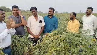 SRT(शून्य मशागत तंत्र )आता आम्हाला पण समजलं,पुढच्या वर्षी नक्कीच करू,शेतकरी बांधवांच्या प्रतिक्रिया 