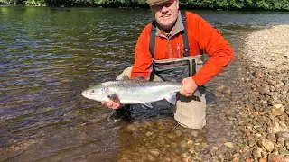 Salmon Fishing On Dunkeld House Beat River Tay