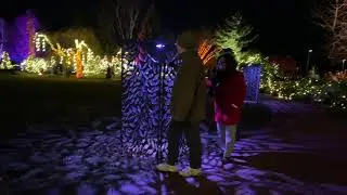 NIGHT LIGHTS (8) - Lawn Garden (1) - TOWER HILL - December 3 - Boylston, MA