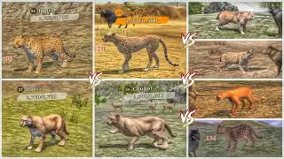 The Wolf -Jaguar vs Cheetah vs Puma vs Cougar vs Bobcat vs Lynx vs Bay Cat vs Snow Leopard(WIHTD-19)