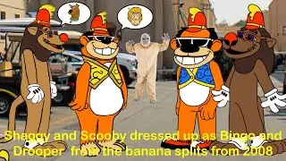Shaggy and Scooby dressed up as Bingo and Drooper from the banana splits from 2008 (⬇️description⬇️)