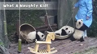 What A Naughty Kid! | iPanda