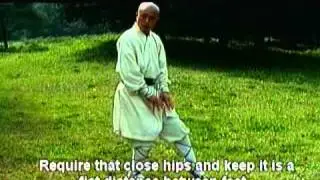 Shaolin King Kong Fist Basics 1