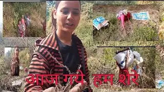 Yaha ho rakhi h itni saari jhadiya🏞️
