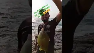 Fishing in Goa with stranger || Destination Hackers #shorts