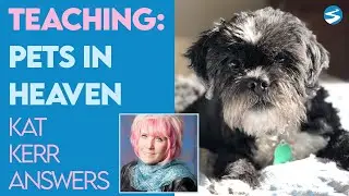 Kat Kerr Teaching: Pets In Heaven | April 27 2022