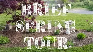🌸A Brief Spring Tour!🌸 | 🌿From Blank to Beautiful!🌿