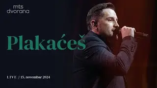 MIRZA SELIMOVIĆ - PLAKAĆEŠ (MTS DVORANA • 15.11.2024.)