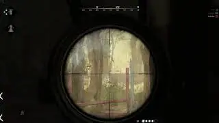 🎯 Cross Compound Sniper Kill (150+ meters) | Hunt Showdown Highlight