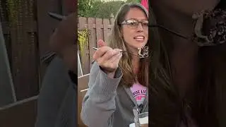 Just put it in your mouth 👄