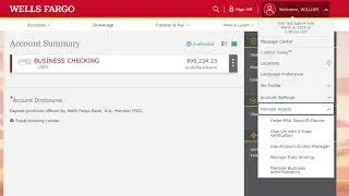 HOW TO LOAD AND SPAM WELLS FARGO BANK LOGS 🔥 2025 TUTORIAL & WALKTHROUGH