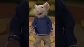When your cat can&rsquo;t handle the truth 😹🐭 #stuartlittle #snowball #friendship