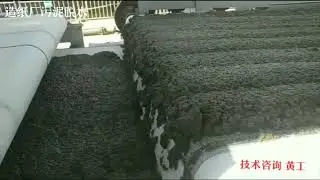 Paper mill wastewater treatment