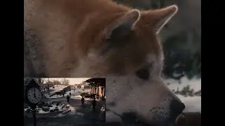 story about loyalty, love, and devotion