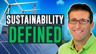 What is Sustainability? A biogeochemical perspective