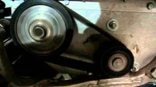 MOV03386