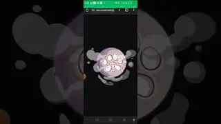 PAWS PREMARKET TEASER TASK