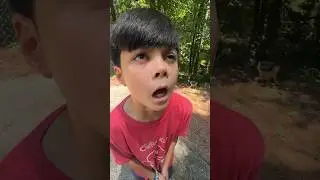 Вырубаем ветер: