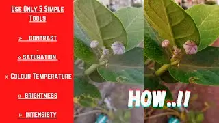 Creative Photography | Nature Capture | #shorts #short