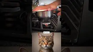 Wait for the last second 😂 #funny #cat #trending #memes