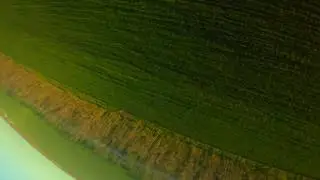 Sunset in field