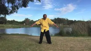 Ziran Qigong for Anxiety and Stress Release