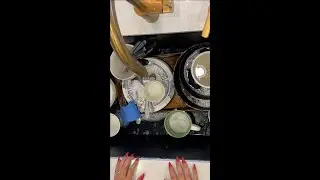 ASMR Busy Adult Solutions