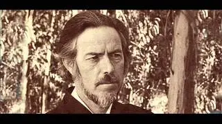 Alan Watts - Undifferentiated vs differentiated awareness