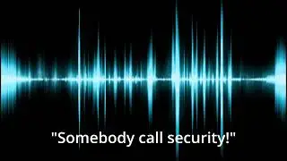 Somebody call security Sound Effect