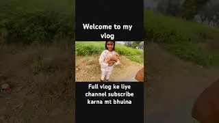 Welcome to my mini vlog #foryou #explore #trending #vlog #vlogger #viralshorts #fyp #minivlog #new