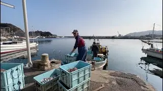【全国ぶらり散歩】関サバ・関アジの産地、大分県大分市佐賀関漁港を歩く#Vlog #旅行vlog