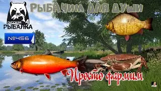 #Стрим🐠Russian Fishing 4🐠№ 456🐠рыбачим для души🐠Просто фармим🐠ЦЕЛЬ 100 000 ( 1662 ЕСТЬ )