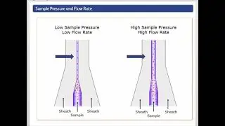 INTRO TO FLOW CYTOMETRY-MODULE 3-FLUIDICS