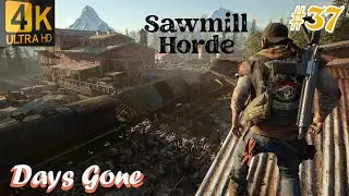 Sawmill Horde Zombie Fight..|| DaysGone gameplay Episode -37||#pcgaming#daysgonepc