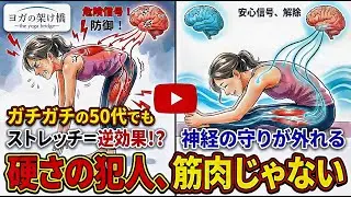 ストレッチしても柔らかくならない理由──筋肉ではなく“神経の防御”をヨガで外す