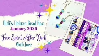 Reveal & Design With Didi's Deluxe Bead Box
