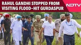Rahul Gandhi Barred From Visiting Flood-hit Border Village In Punjab