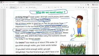 connect plus primary 3 unit 3 lesson 3