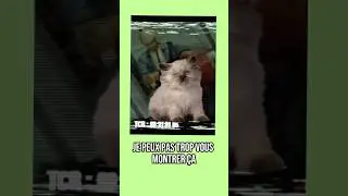 Ce jeu interdit a &eacute;t&eacute; accus&eacute; d&rsquo;inciter au meurtre ⚠️