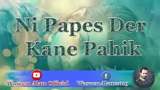 waseem alam Most populor song ni papes der kany paek