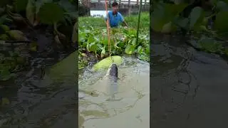 World Best Fishing Trap Video, 2025😲#fish_traps