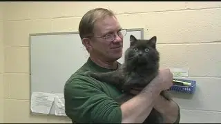 Micro-chip reunites pet and owner