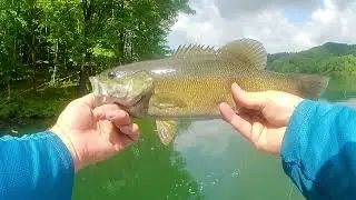 CLEAR Water SMALLMOUTH bass! (Summersville Lake)