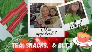 Three-fer Tuesday: Sipsby,  SnackSack,  & Fruit for Thought