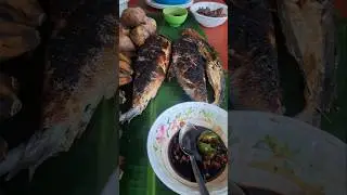 #bohol #travel #beachlife #shortvideo #shorts #short #trending #trendingshorts